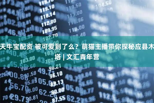 天牛宝配资 被可爱到了么？萌猫主播带你探秘应县木塔 | 文汇青年营