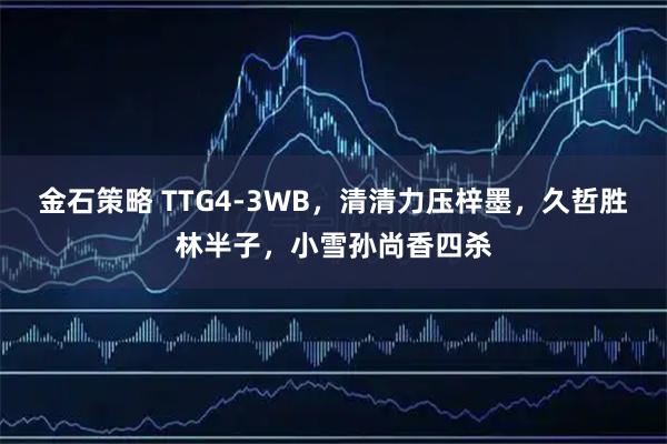 金石策略 TTG4-3WB，清清力压梓墨，久哲胜林半子，小雪孙尚香四杀