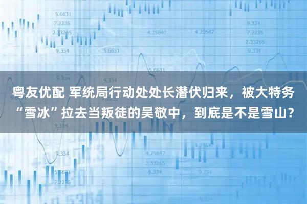 粤友优配 军统局行动处处长潜伏归来，被大特务“雪冰”拉去当叛徒的吴敬中，到底是不是雪山？