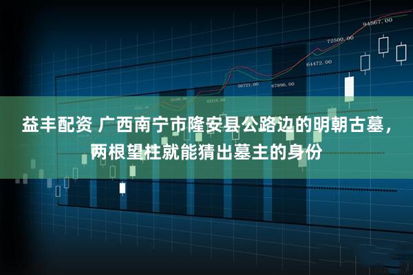 益丰配资 广西南宁市隆安县公路边的明朝古墓，两根望柱就能猜出墓主的身份