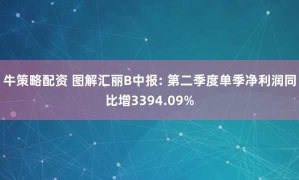 牛策略配资 图解汇丽B中报: 第二季度单季净利润同比增3394.09%